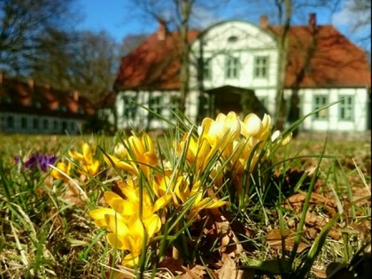 Фото: Jagdschloss Friedrichsmoor